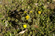 image0111