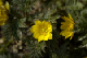 image0112