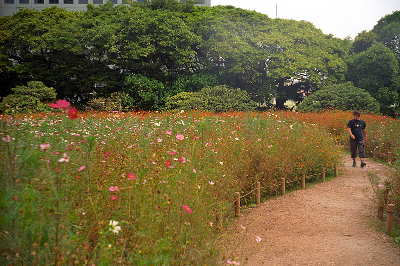 image0028
