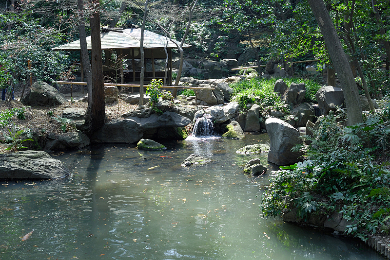 image0144