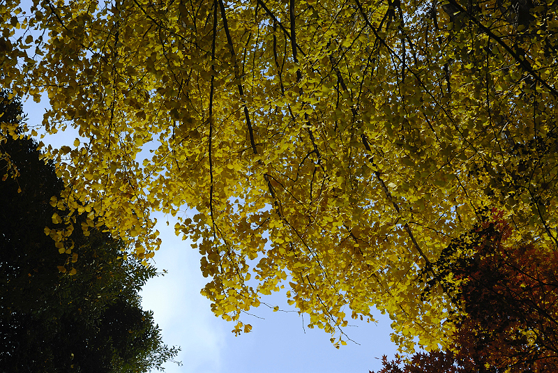 image0096