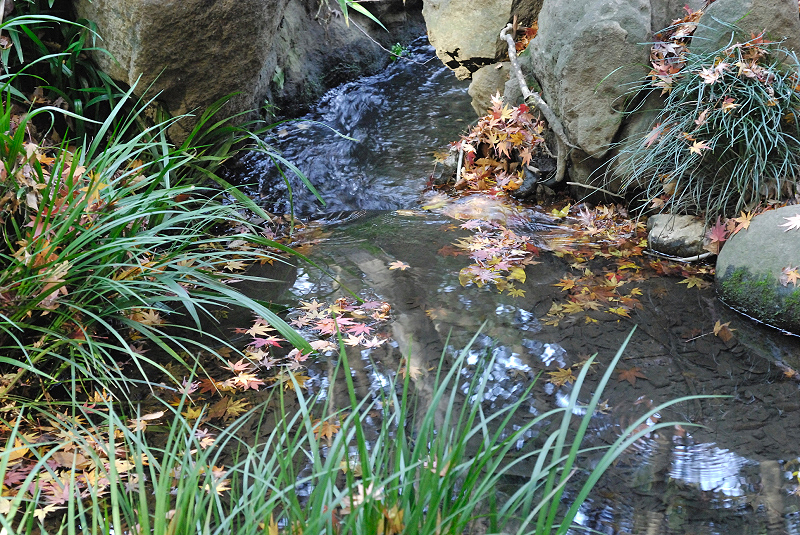 image0102