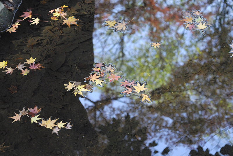 image0103