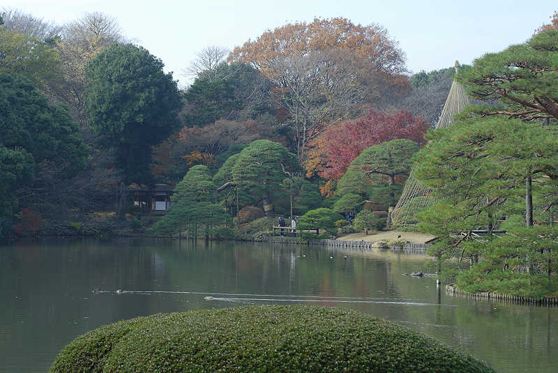 image0121