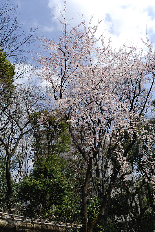image0099