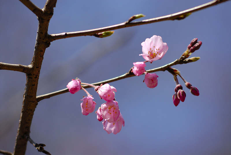 image0103