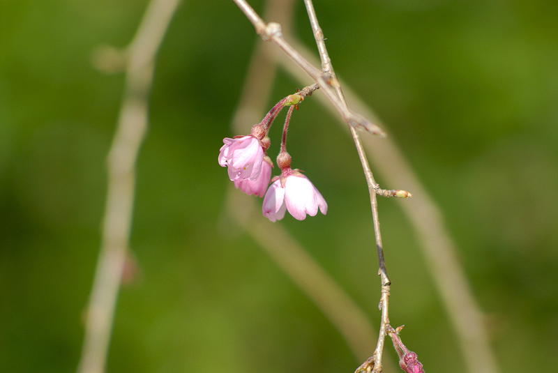image0107