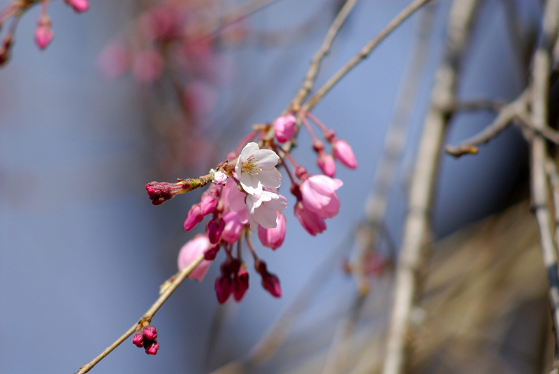 image0108