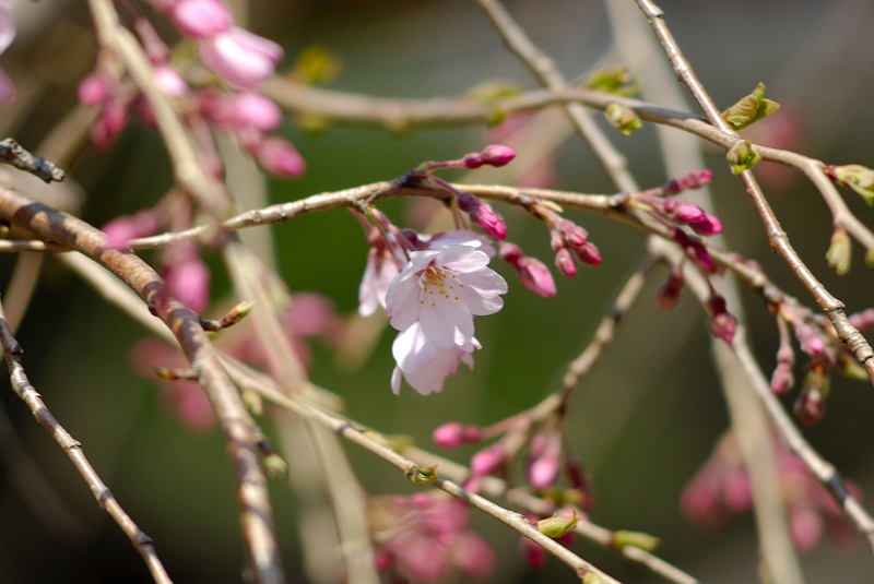 image0110
