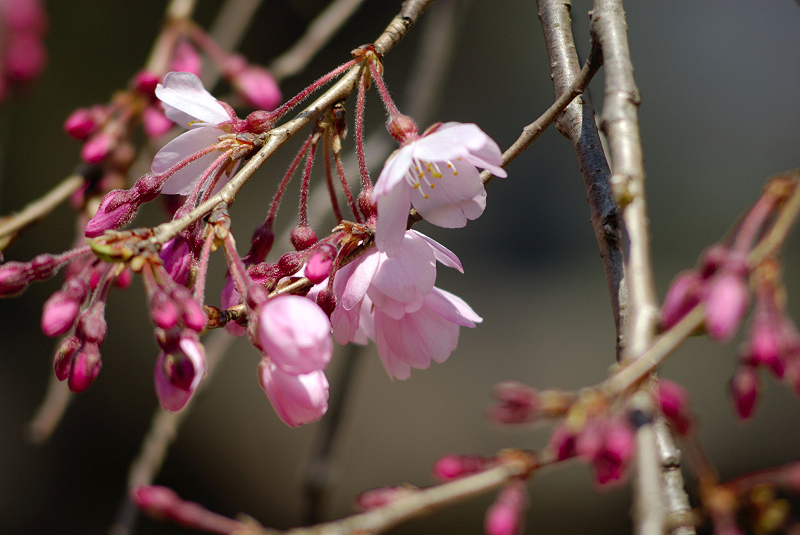 image0113