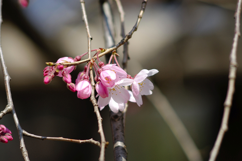image0114