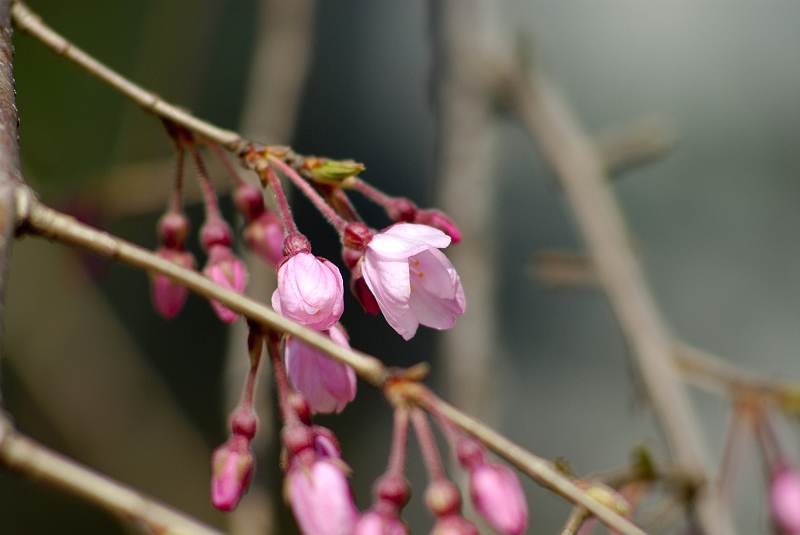 image0117