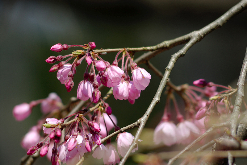 image0121