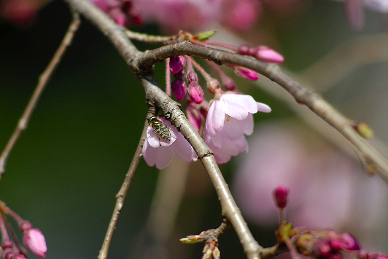 image0122