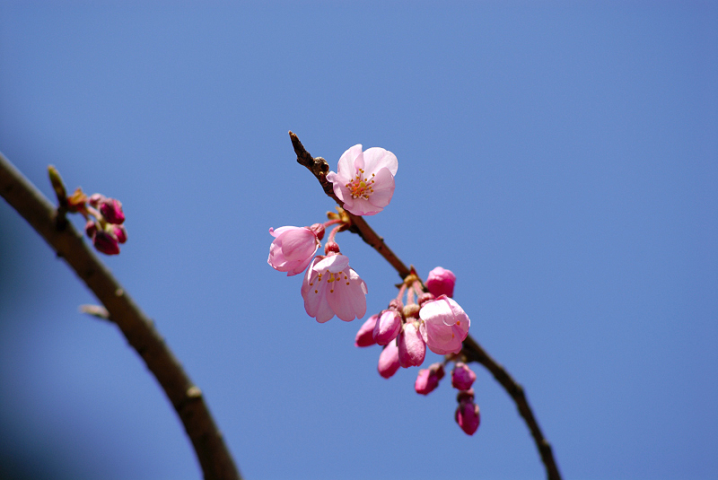 image0124