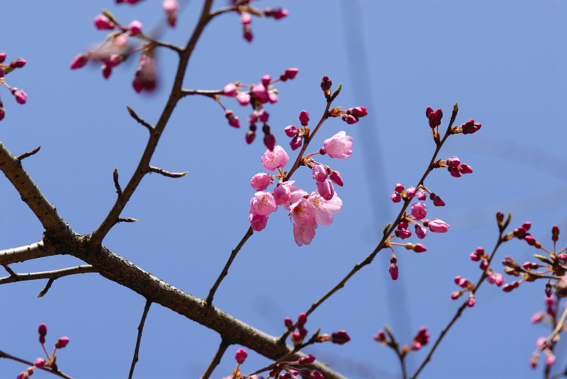 image0125