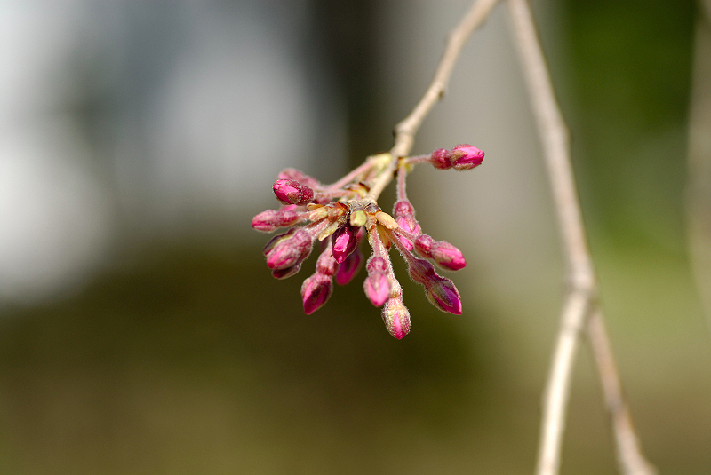 image0126