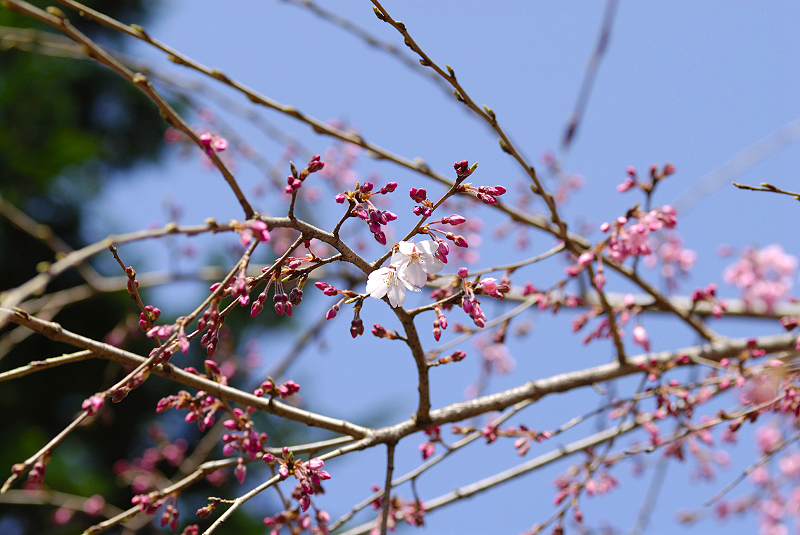 image0128