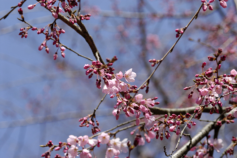 image0130