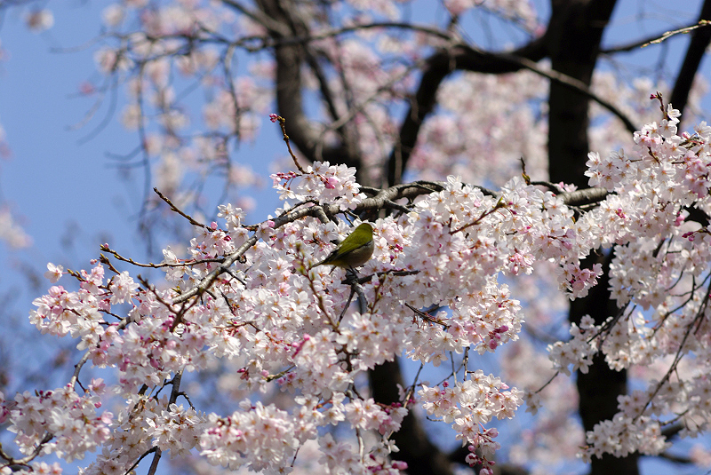 image0131