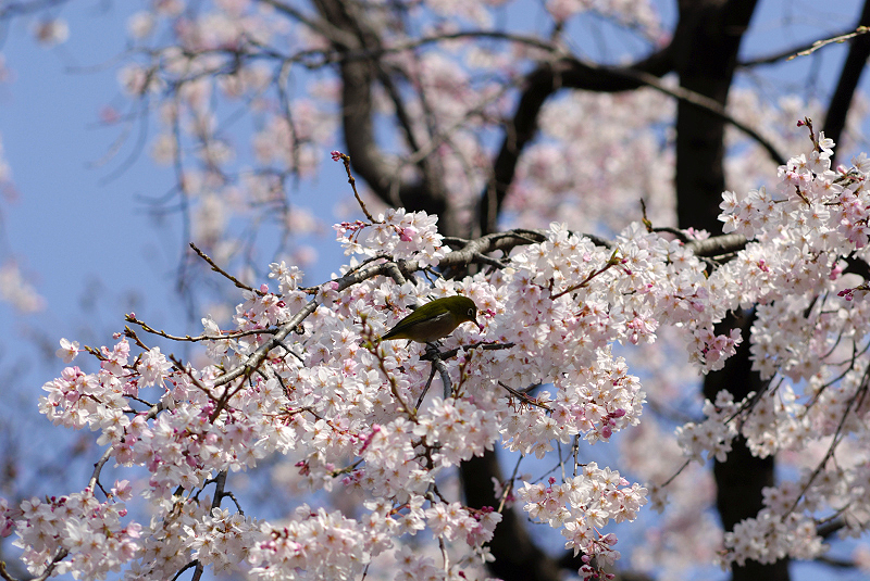 image0132