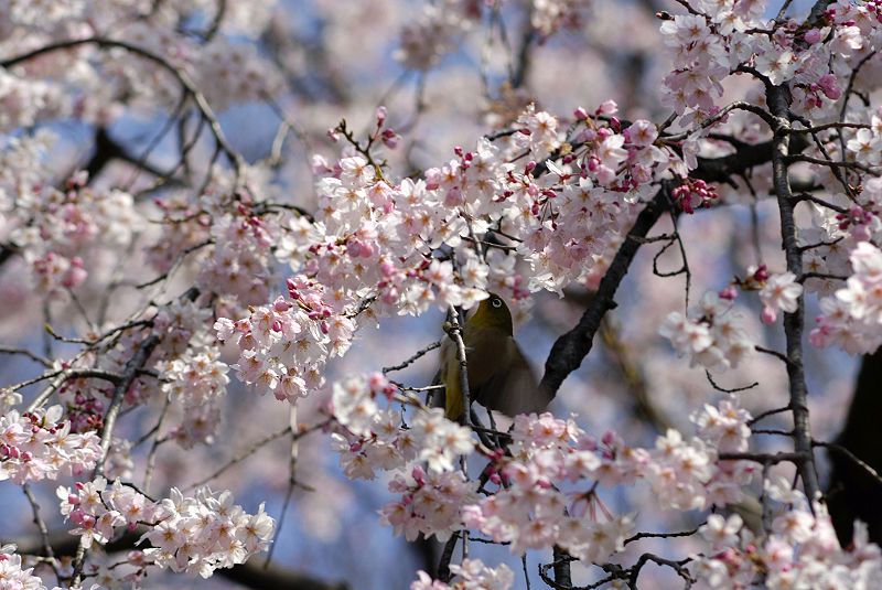 image0134