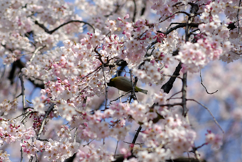 image0136