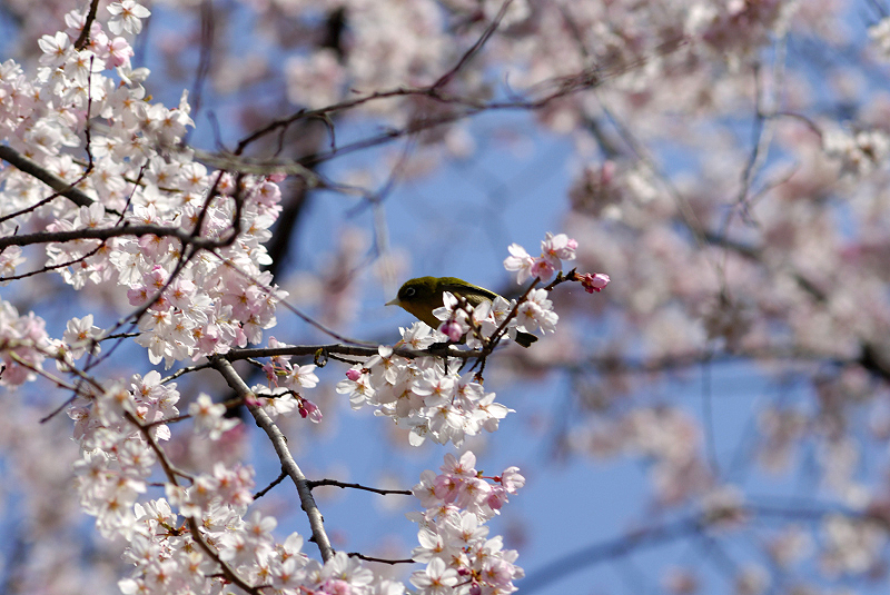 image0138