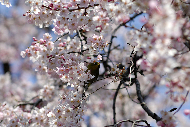 image0139