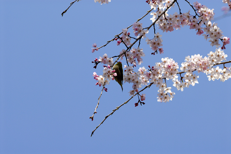 image0142