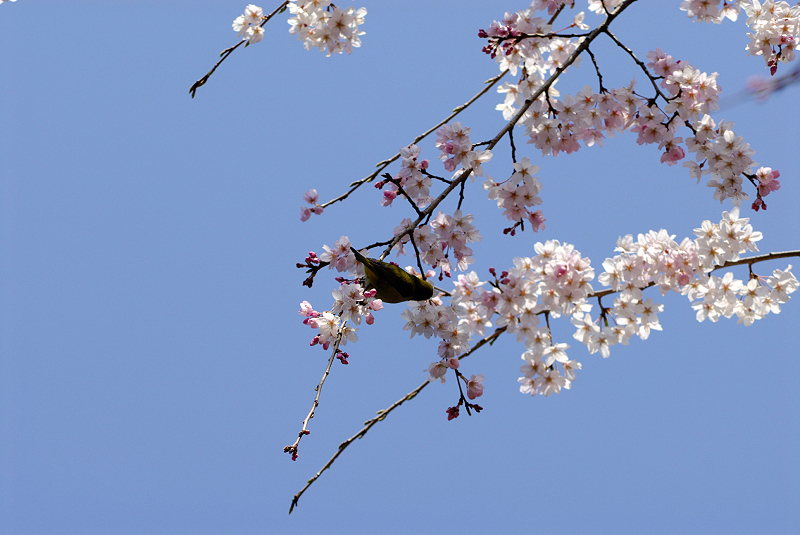 image0143