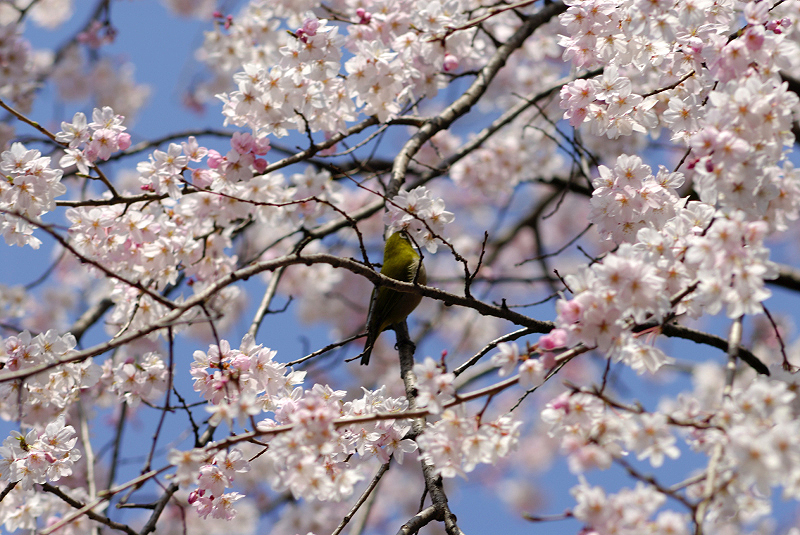 image0144