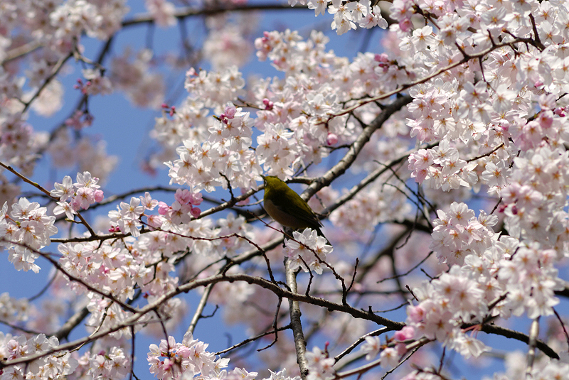 image0145