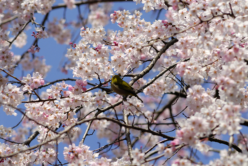 image0146