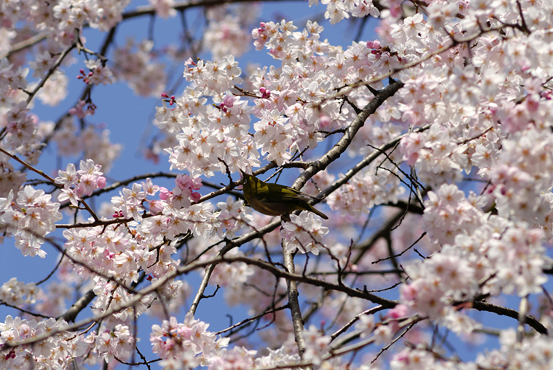 image0147
