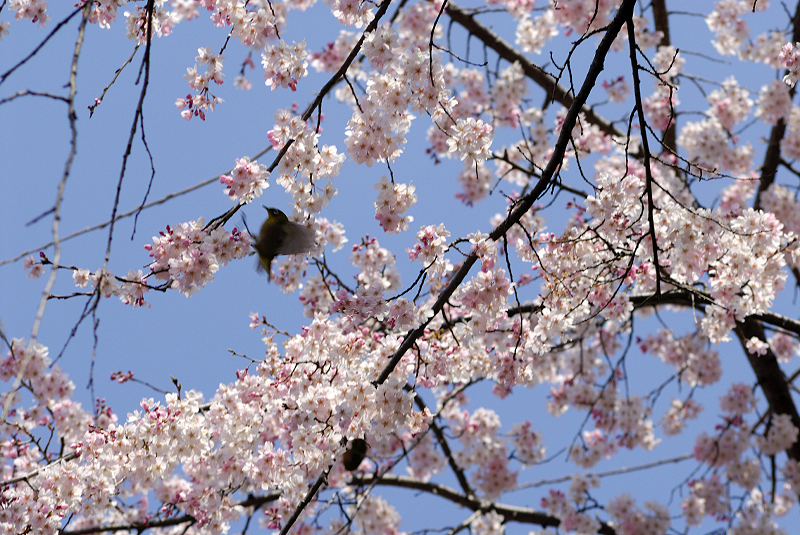 image0148