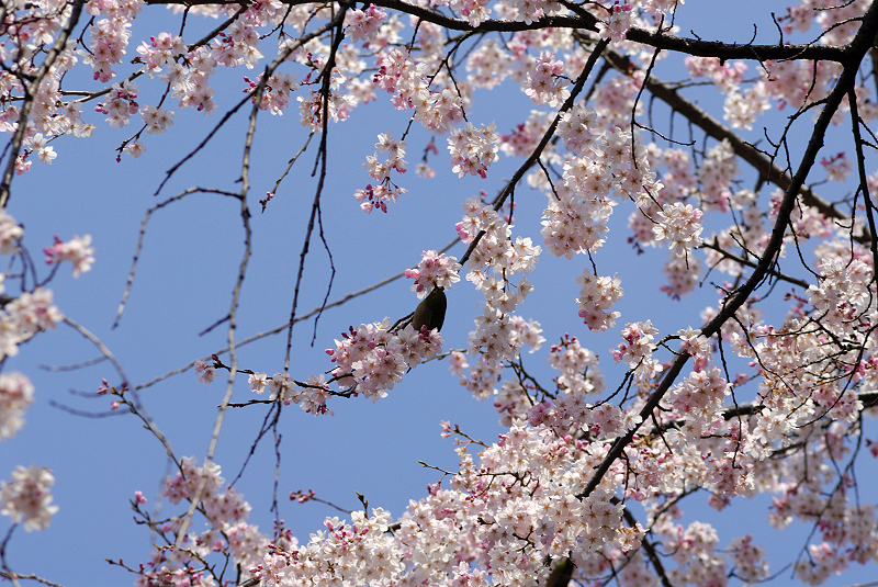 image0149