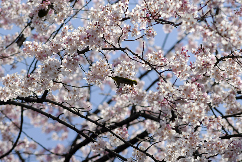 image0151
