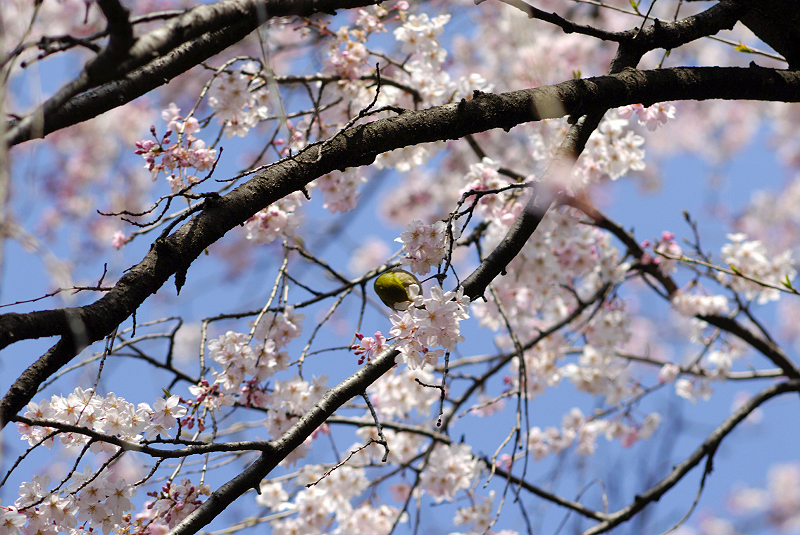 image0154