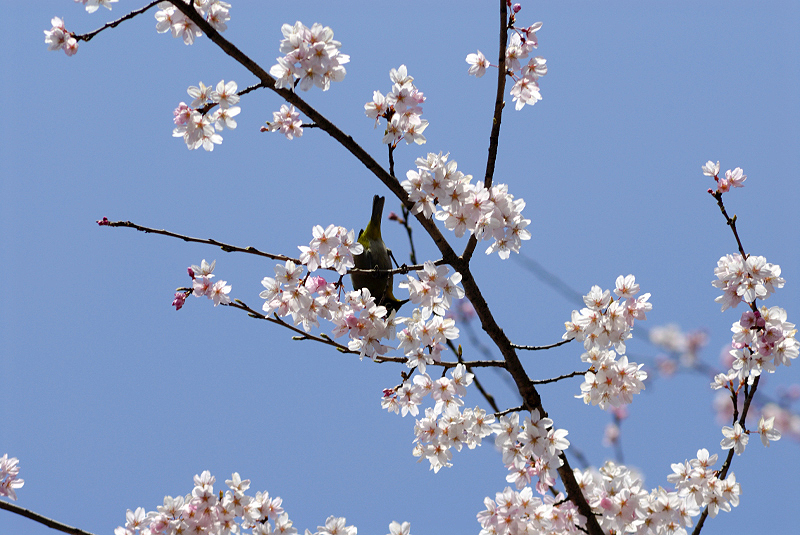 image0157