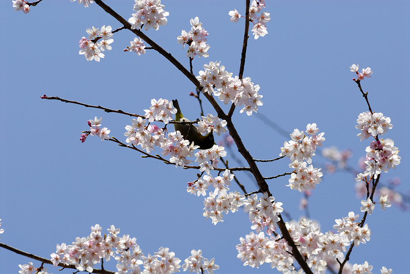 image0158