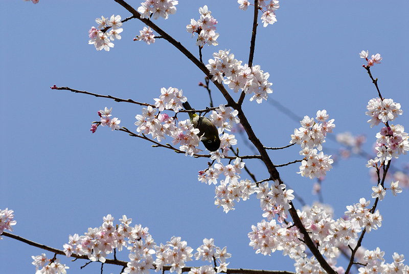 image0159