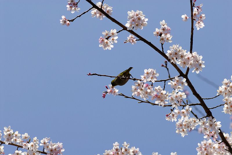 image0160