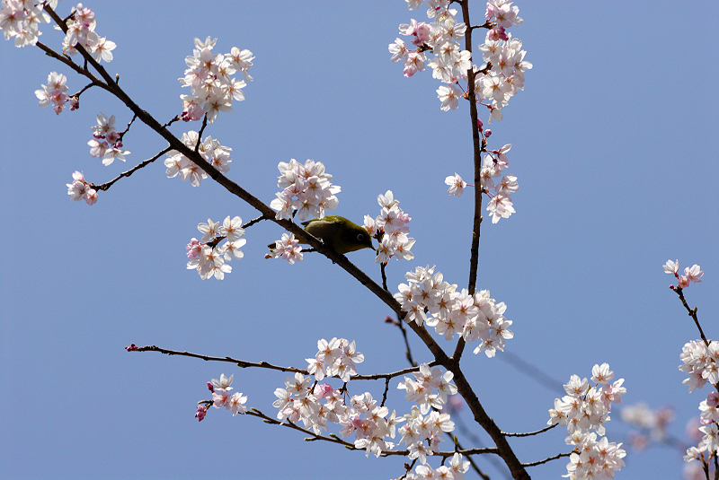image0161