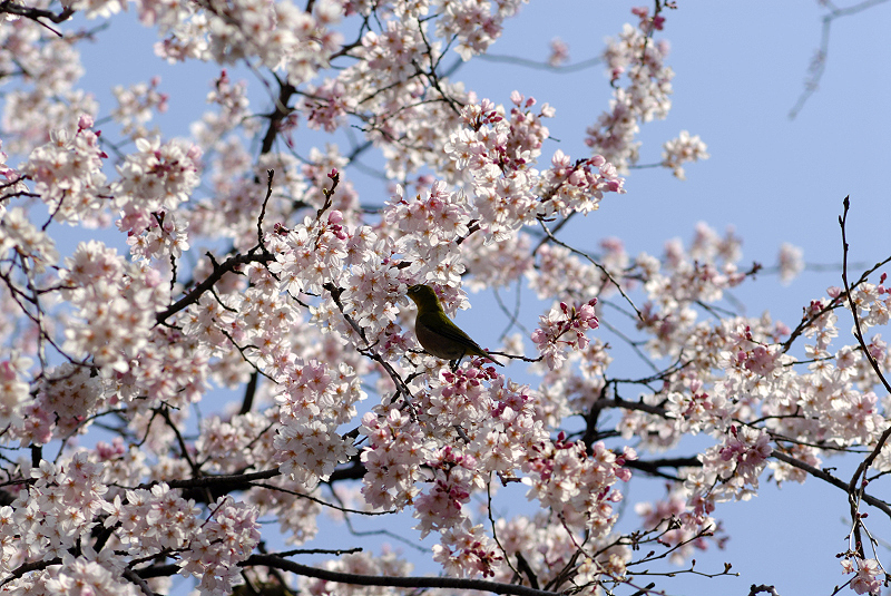 image0163