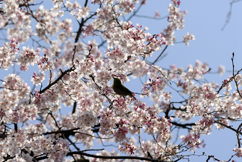 image0164