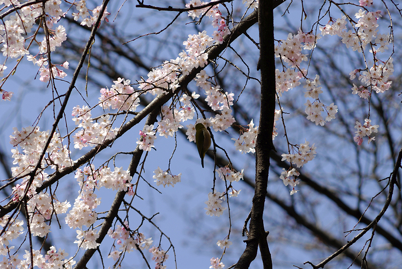image0167