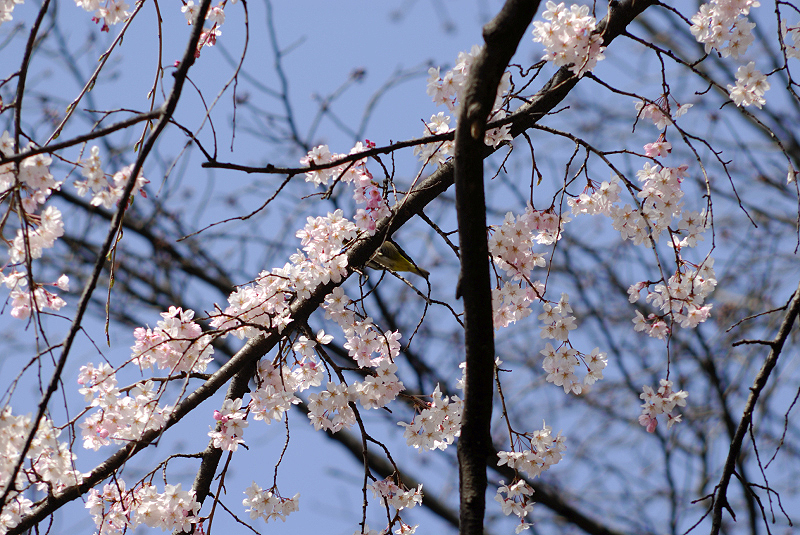 image0168