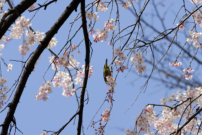 image0169