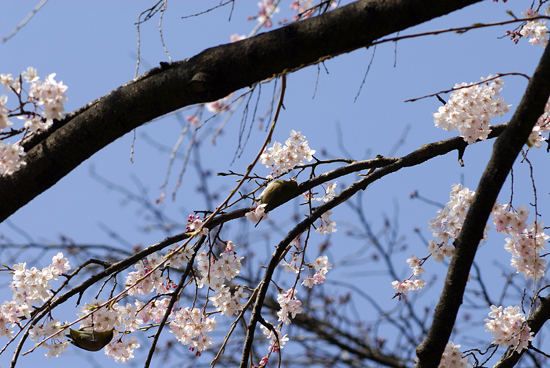 image0170